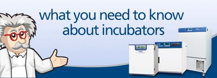 What you need to know about incubators